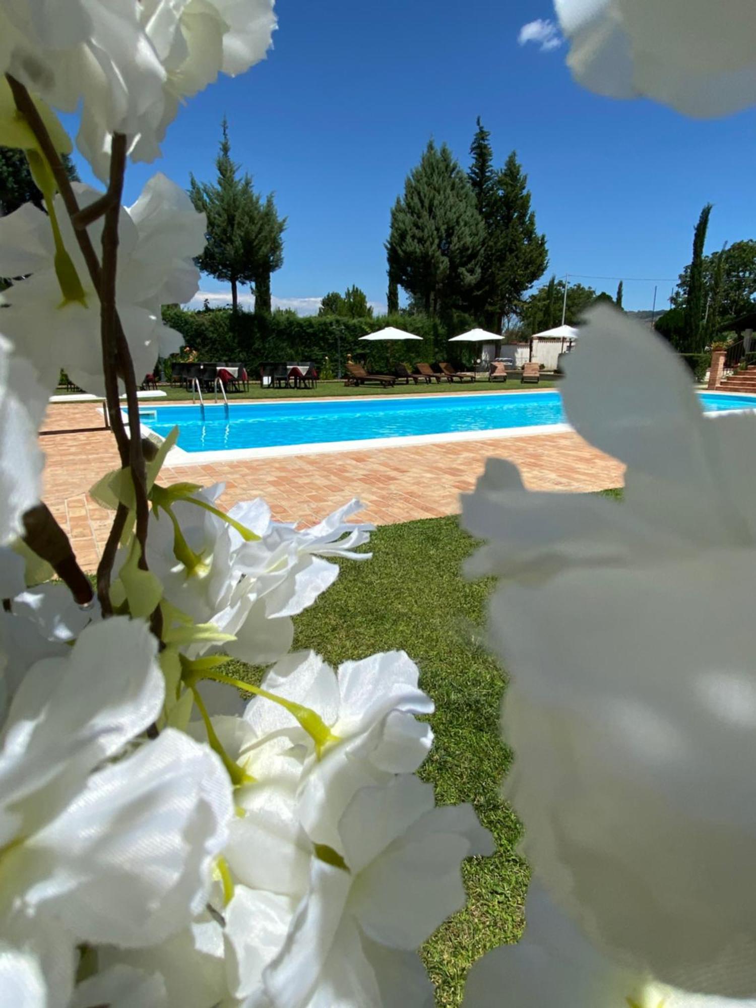 Villa Piero Bisignano Екстер'єр фото